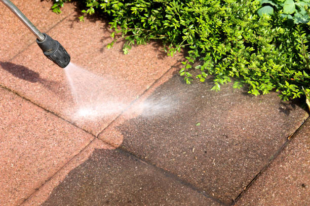 Best Best Pressure Washing Companies  in Manahawkin, NJ